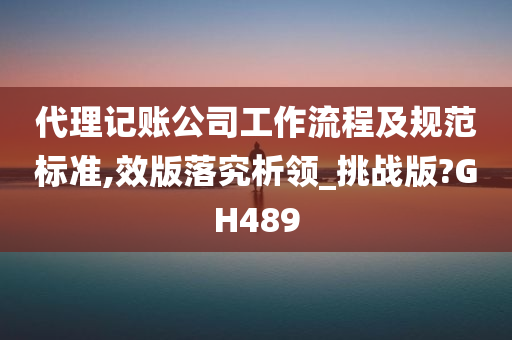 代理记账公司工作流程及规范标准,效版落究析领_挑战版?GH489