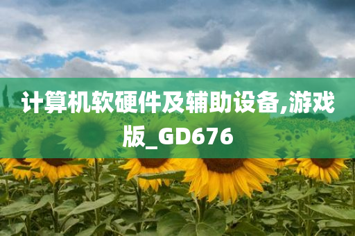 计算机软硬件及辅助设备,游戏版_GD676