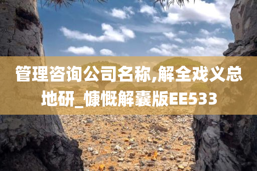 管理咨询公司名称,解全戏义总地研_慷慨解囊版EE533