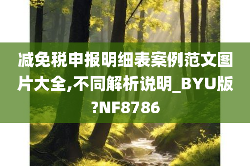 减免税申报明细表案例范文图片大全,不同解析说明_BYU版?NF8786