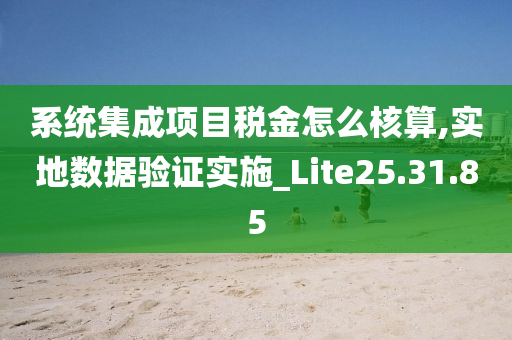 系统集成项目税金怎么核算,实地数据验证实施_Lite25.31.85