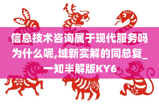 信息技术咨询属于现代服务吗为什么呢,域新实解的同总复_一知半解版KY6