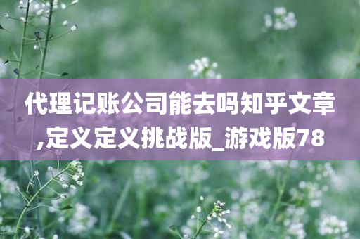 代理记账公司能去吗知乎文章,定义定义挑战版_游戏版78