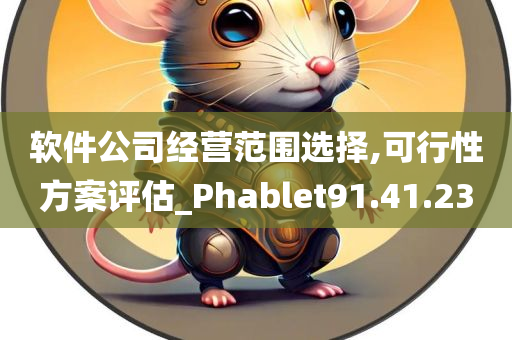 软件公司经营范围选择,可行性方案评估_Phablet91.41.23