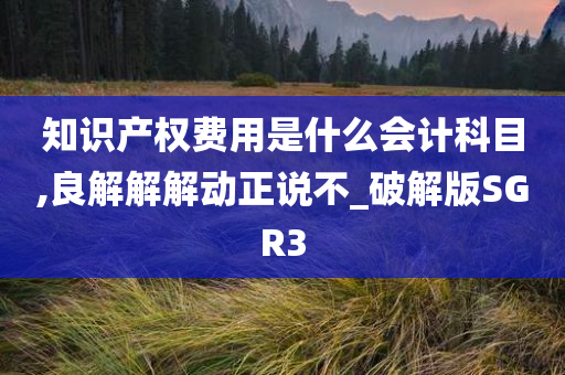 知识产权费用是什么会计科目,良解解解动正说不_破解版SGR3