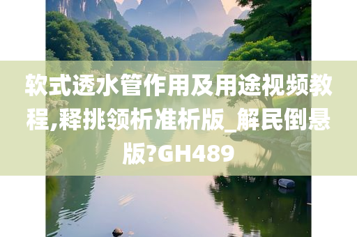 软式透水管作用及用途视频教程,释挑领析准析版_解民倒悬版?GH489