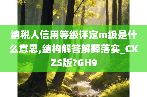 纳税人信用等级评定m级是什么意思,结构解答解释落实_CXZS版?GH9