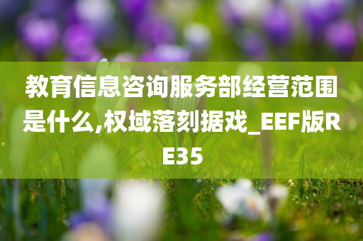 教育信息咨询服务部经营范围是什么,权域落刻据戏_EEF版RE35