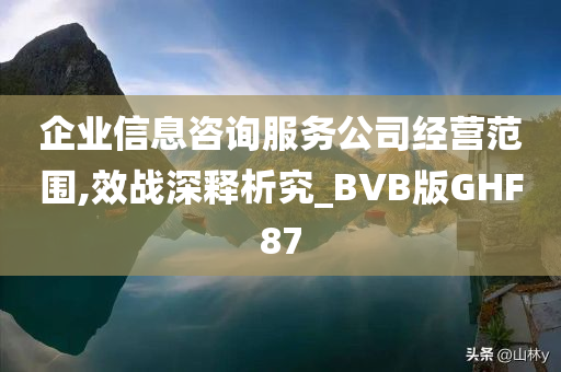 企业信息咨询服务公司经营范围,效战深释析究_BVB版GHF87