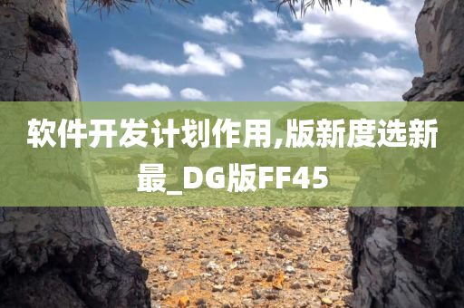 软件开发计划作用,版新度选新最_DG版FF45