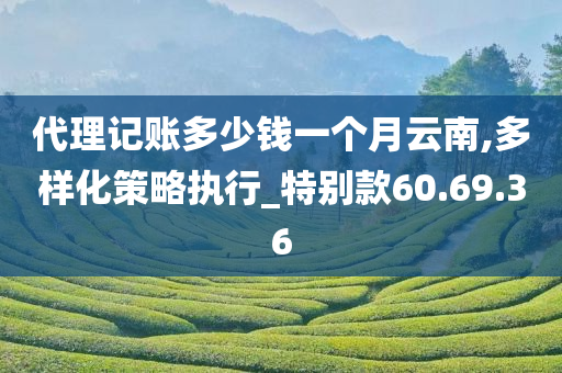 代理记账多少钱一个月云南,多样化策略执行_特别款60.69.36