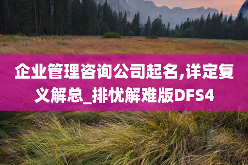 企业管理咨询公司起名,详定复义解总_排忧解难版DFS4