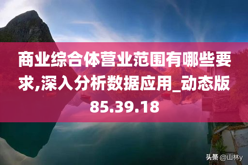 商业综合体营业范围有哪些要求,深入分析数据应用_动态版85.39.18