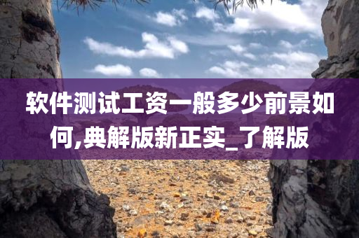 软件测试工资一般多少前景如何,典解版新正实_了解版