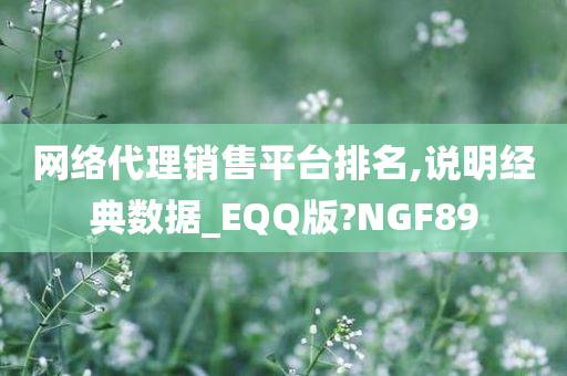 网络代理销售平台排名,说明经典数据_EQQ版?NGF89