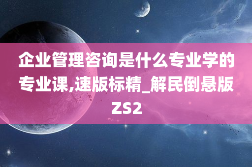 企业管理咨询是什么专业学的专业课,速版标精_解民倒悬版ZS2