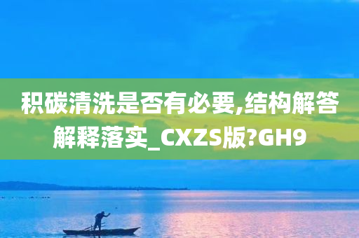 积碳清洗是否有必要,结构解答解释落实_CXZS版?GH9