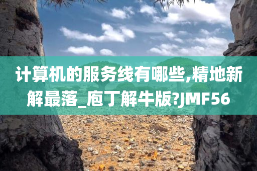 计算机的服务线有哪些,精地新解最落_庖丁解牛版?JMF56