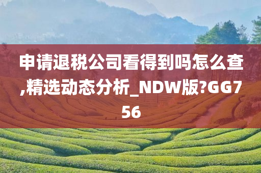 申请退税公司看得到吗怎么查,精选动态分析_NDW版?GG756