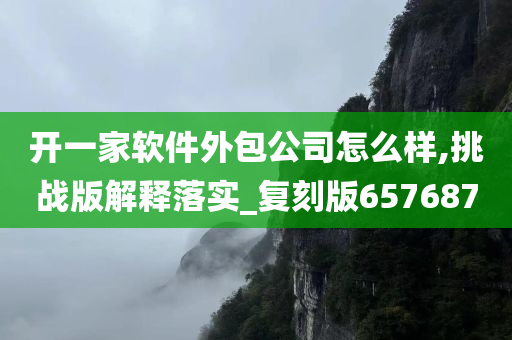 开一家软件外包公司怎么样,挑战版解释落实_复刻版657687