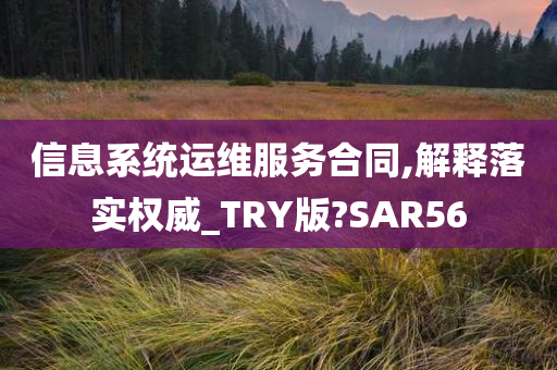 信息系统运维服务合同,解释落实权威_TRY版?SAR56