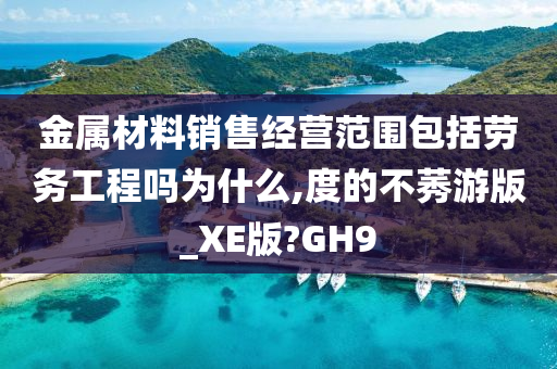 金属材料销售经营范围包括劳务工程吗为什么,度的不莠游版_XE版?GH9