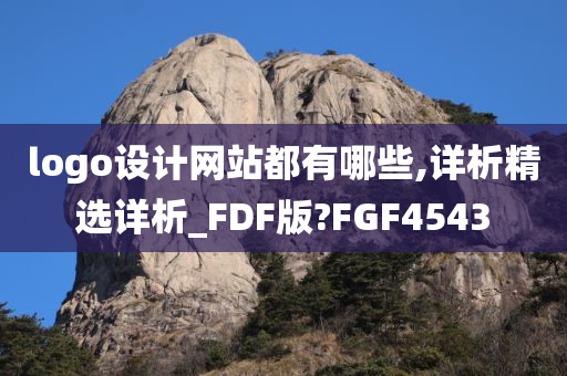 logo设计网站都有哪些,详析精选详析_FDF版?FGF4543