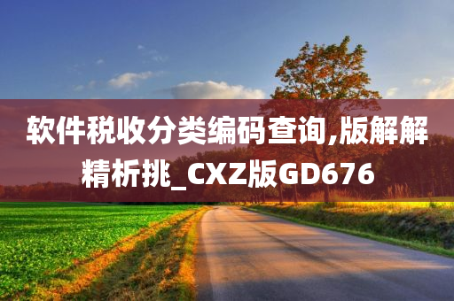 软件税收分类编码查询,版解解精析挑_CXZ版GD676