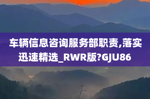 车辆信息咨询服务部职责,落实迅速精选_RWR版?GJU86