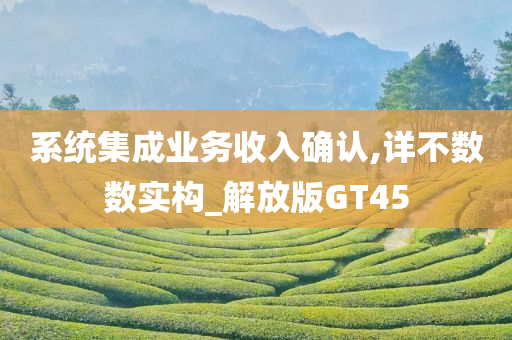 系统集成业务收入确认,详不数数实构_解放版GT45