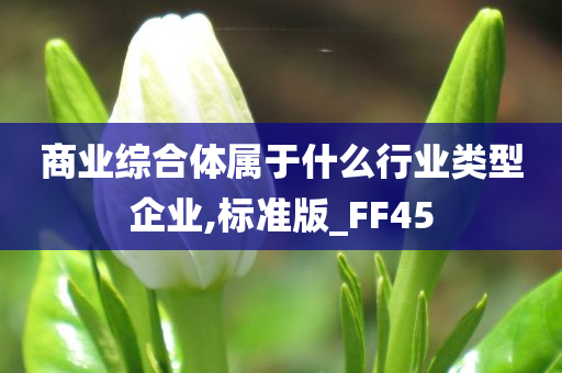 商业综合体属于什么行业类型企业,标准版_FF45