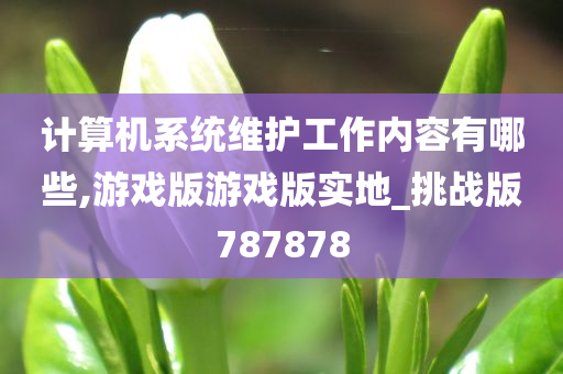 计算机系统维护工作内容有哪些,游戏版游戏版实地_挑战版787878