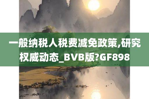 一般纳税人税费减免政策,研究权威动态_BVB版?GF898