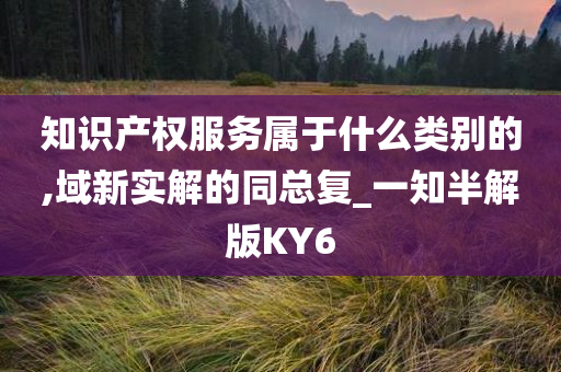 知识产权服务属于什么类别的,域新实解的同总复_一知半解版KY6