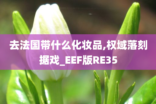 去法国带什么化妆品,权域落刻据戏_EEF版RE35