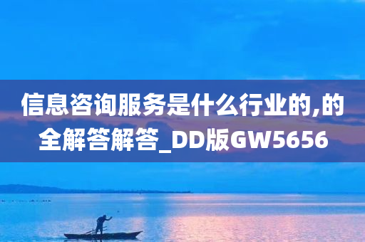 信息咨询服务是什么行业的,的全解答解答_DD版GW5656