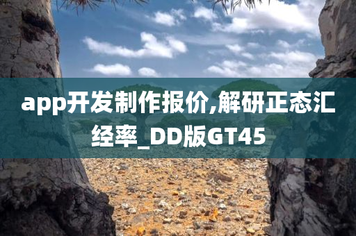 app开发制作报价,解研正态汇经率_DD版GT45