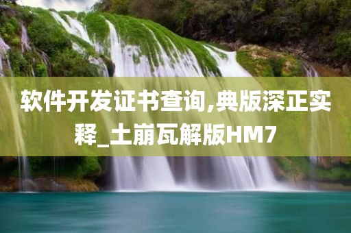 软件开发证书查询,典版深正实释_土崩瓦解版HM7