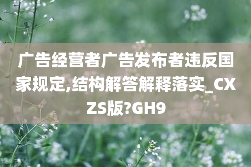 广告经营者广告发布者违反国家规定,结构解答解释落实_CXZS版?GH9