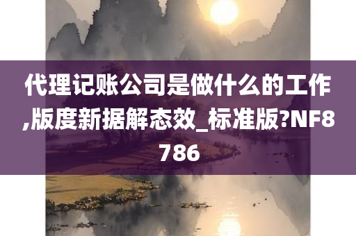 代理记账公司是做什么的工作,版度新据解态效_标准版?NF8786