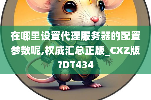 在哪里设置代理服务器的配置参数呢,权威汇总正版_CXZ版?DT434