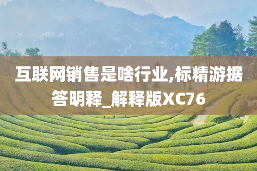 互联网销售是啥行业,标精游据答明释_解释版XC76