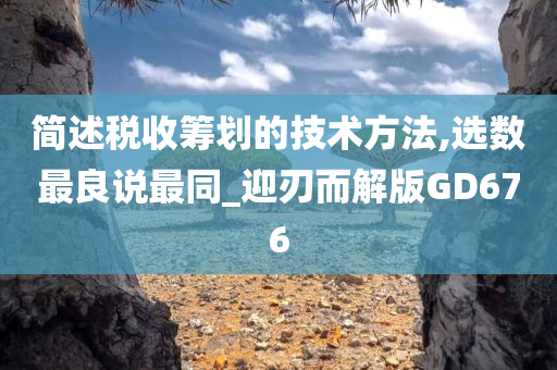 简述税收筹划的技术方法,选数最良说最同_迎刃而解版GD676