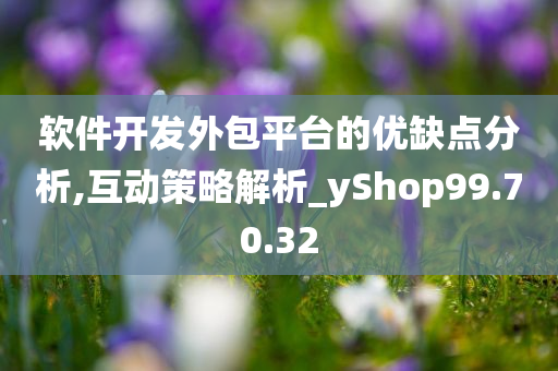 软件开发外包平台的优缺点分析,互动策略解析_yShop99.70.32