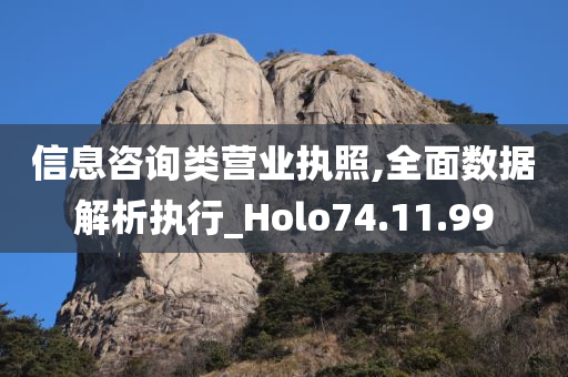 信息咨询类营业执照,全面数据解析执行_Holo74.11.99