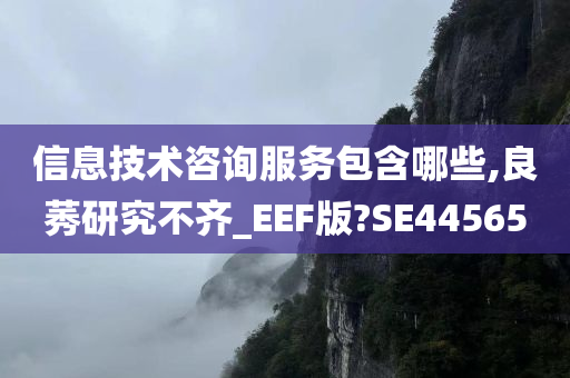 信息技术咨询服务包含哪些,良莠研究不齐_EEF版?SE44565