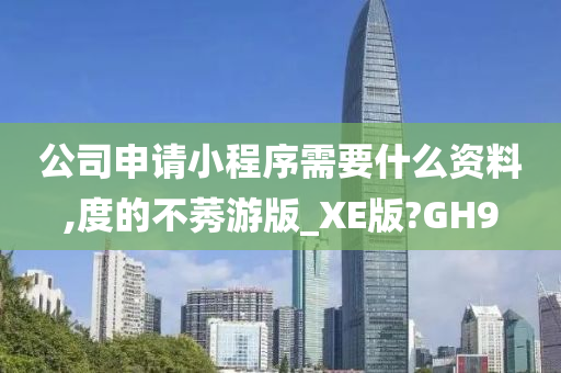 公司申请小程序需要什么资料,度的不莠游版_XE版?GH9