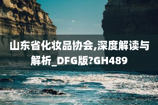 山东省化妆品协会,深度解读与解析_DFG版?GH489