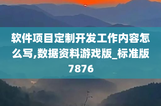 软件项目定制开发工作内容怎么写,数据资料游戏版_标准版7876