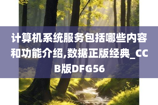 计算机系统服务包括哪些内容和功能介绍,数据正版经典_CCB版DFG56